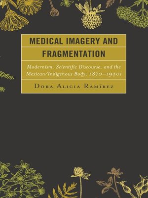 cover image of Medical Imagery and Fragmentation